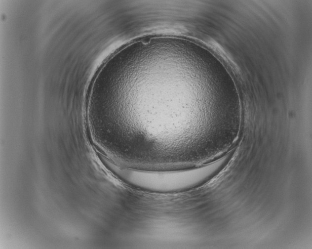 X0000087381240200704271549