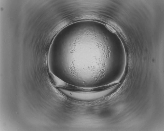 X0000087381241200704271549