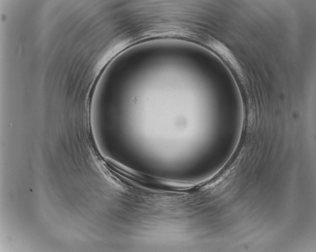 X0000087381242200704271549