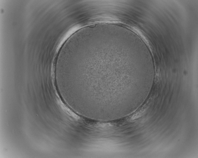 X0000087381243200704271549