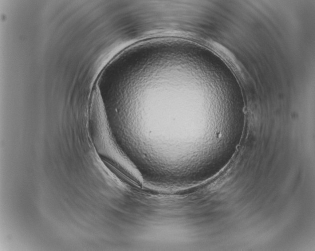 X0000087381244200704271549