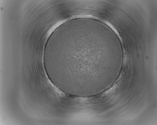 X0000087381245200704271549