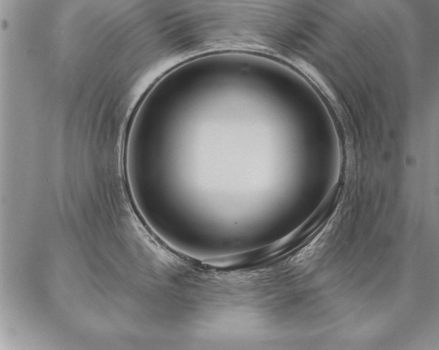 X0000087381246200704271549