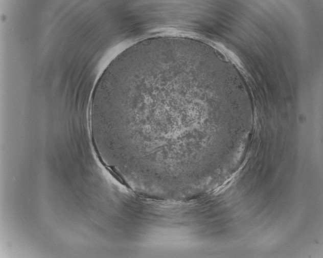 X0000087381247200704271549