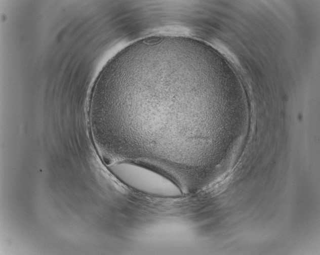 X0000087381248200704271549