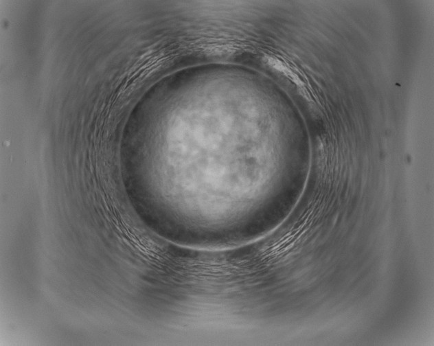 X0000087381249200704271548