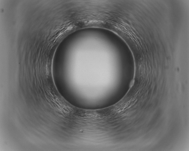 X0000087381250200704271548