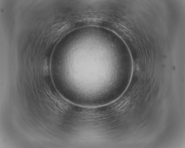 X0000087381252200704271548