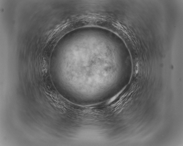 X0000087381253200704271548