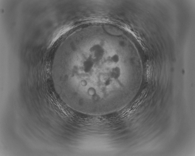 X0000087381255200704271548