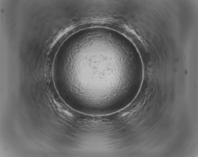 X0000087381256200704271548