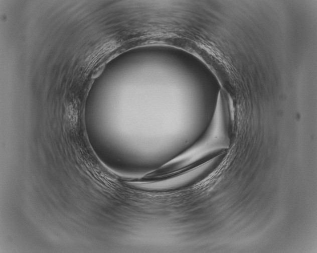 X0000087381257200704271548