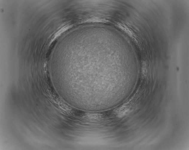 X0000087381258200704271548