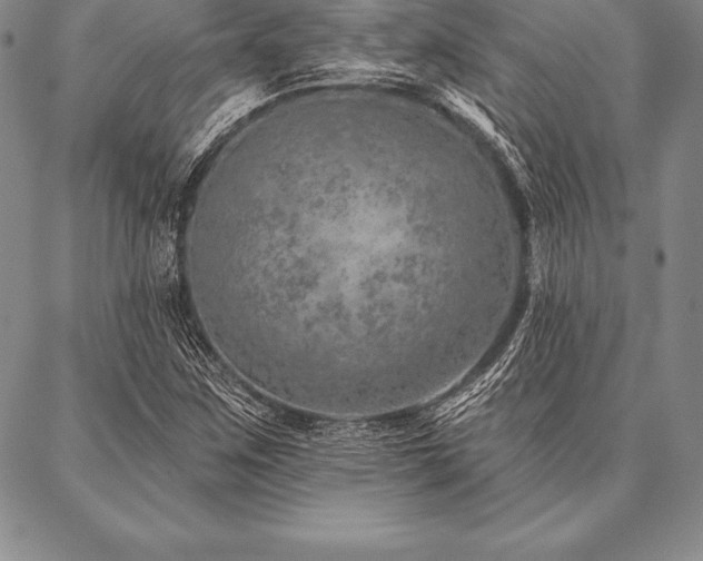 X0000087381259200704271548