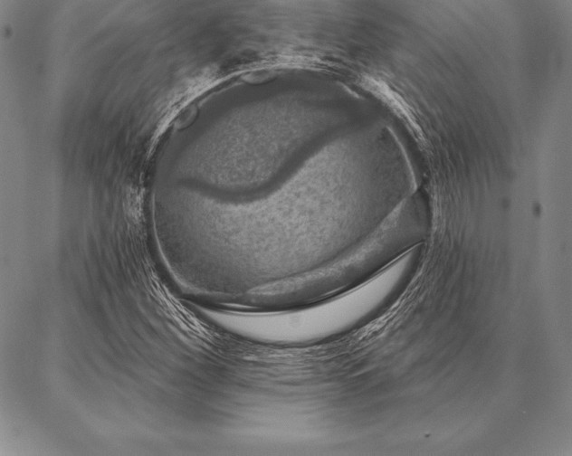 X0000087381260200704271548