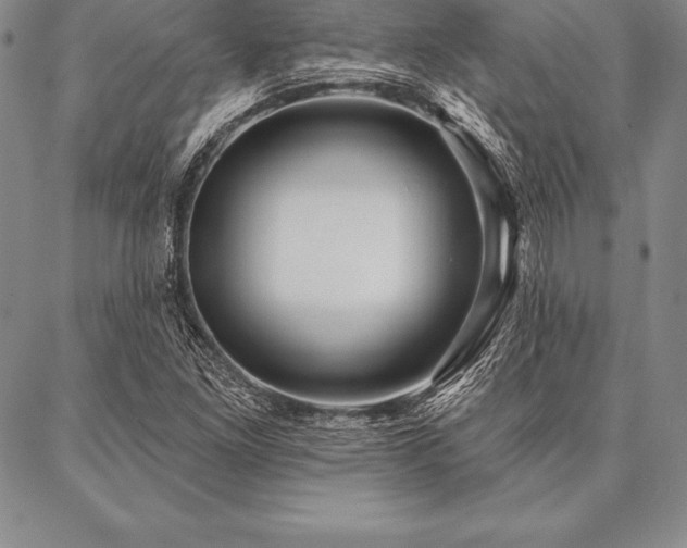 X0000087381261200704271548