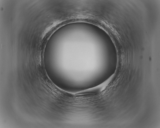 X0000087381262200704271548