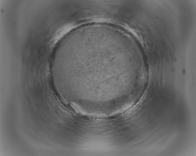 X0000087381263200704271548