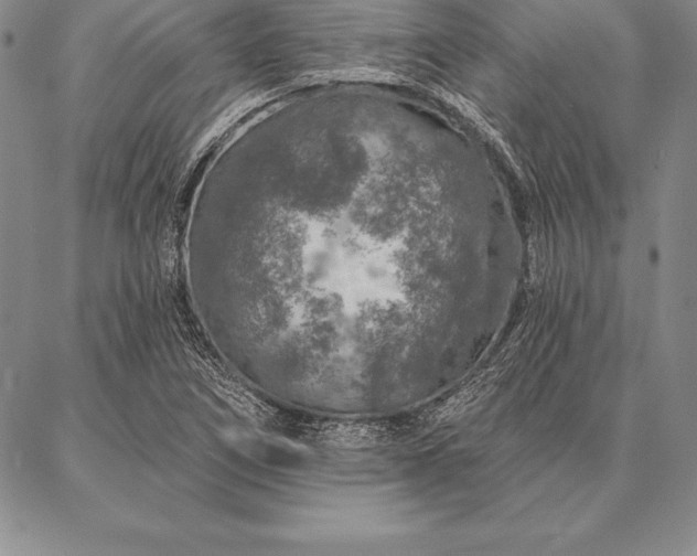 X0000087381266200704271548