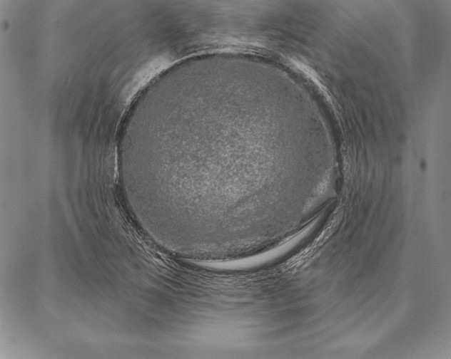 X0000087381267200704271548