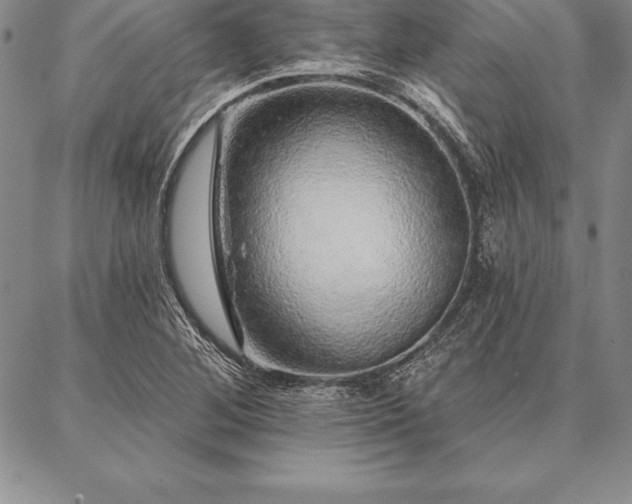 X0000087381268200704271548