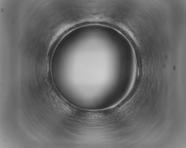 X0000087381270200704271548