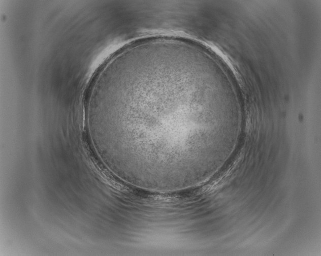 X0000087381271200704271548