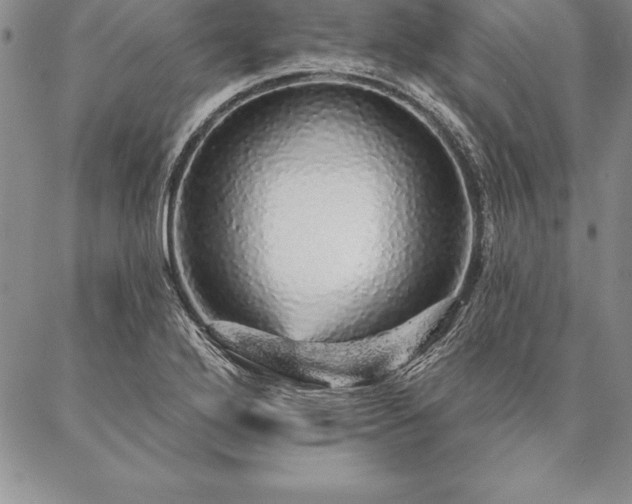 X0000087381272200704271548