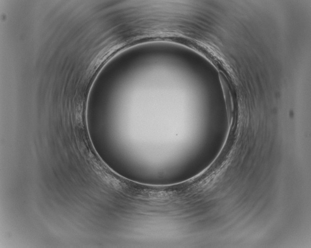 X0000087381273200704271548