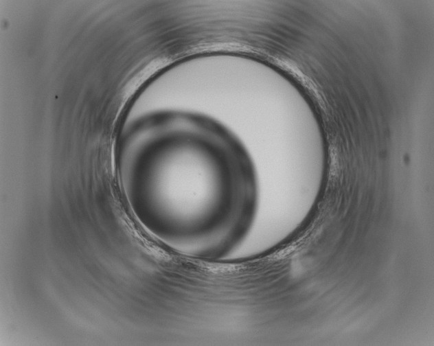 X0000087381274200704271548