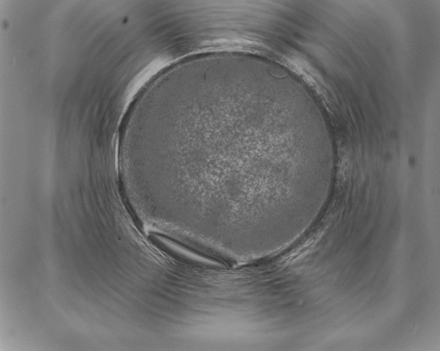 X0000087381275200704271548