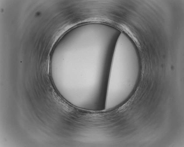 X0000087381276200704271548