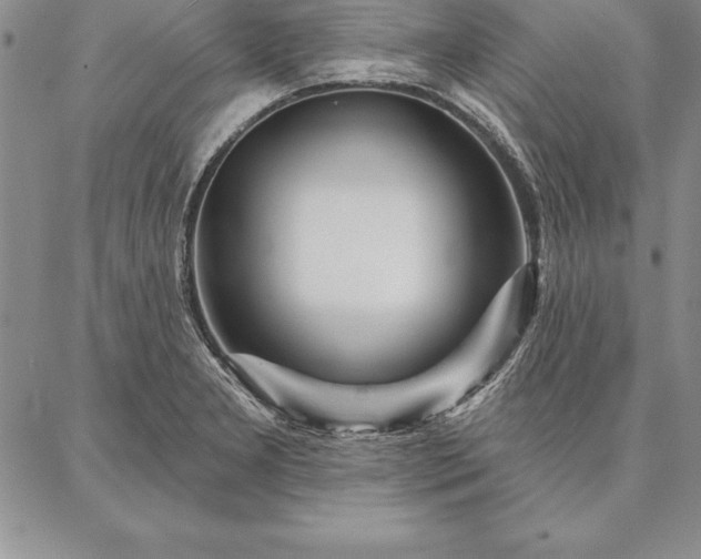 X0000087381277200704271548