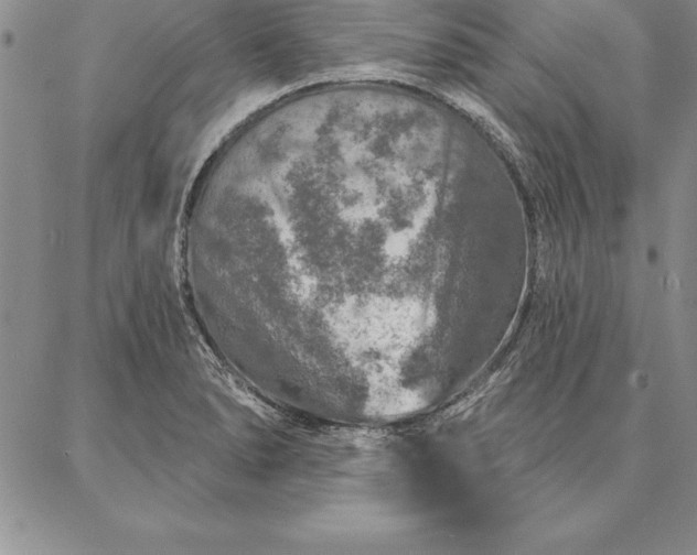 X0000087381278200704271548