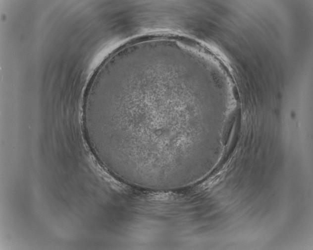 X0000087381279200704271548