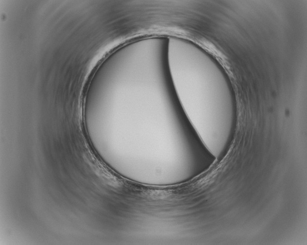 X0000087381280200704271548