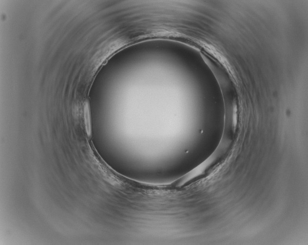 X0000087381281200704271548