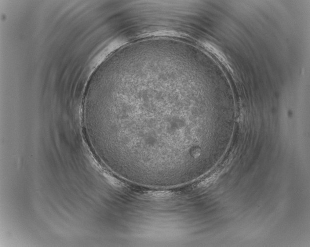 X0000087381282200704271548