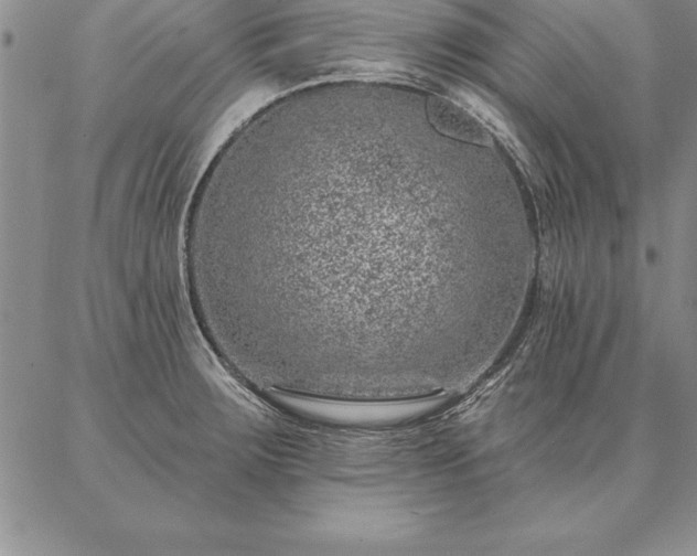 X0000087381283200704271548