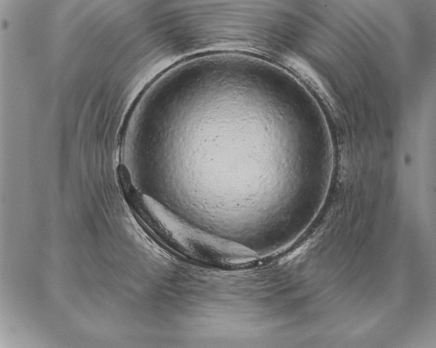 X0000087381284200704271548