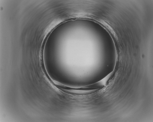 X0000087381285200704271548