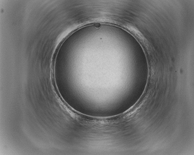 X0000087381286200704271548