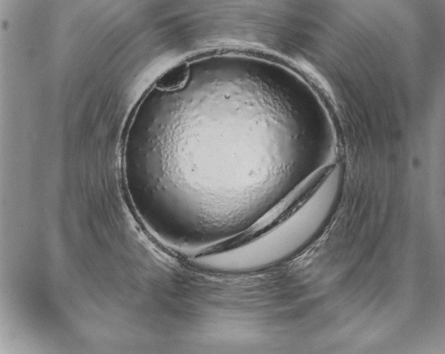 X0000087381287200704271548