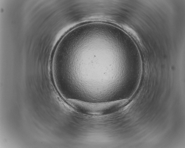 X0000087381288200704271548