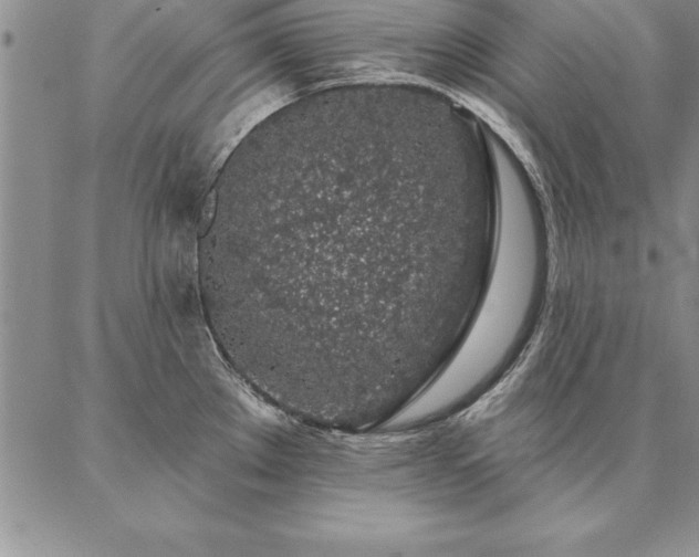 X0000087381289200704271548