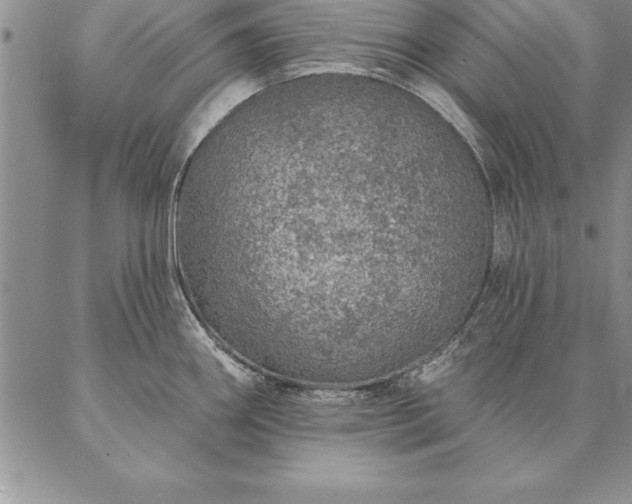 X0000087381290200704271548