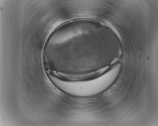 X0000087381291200704271548