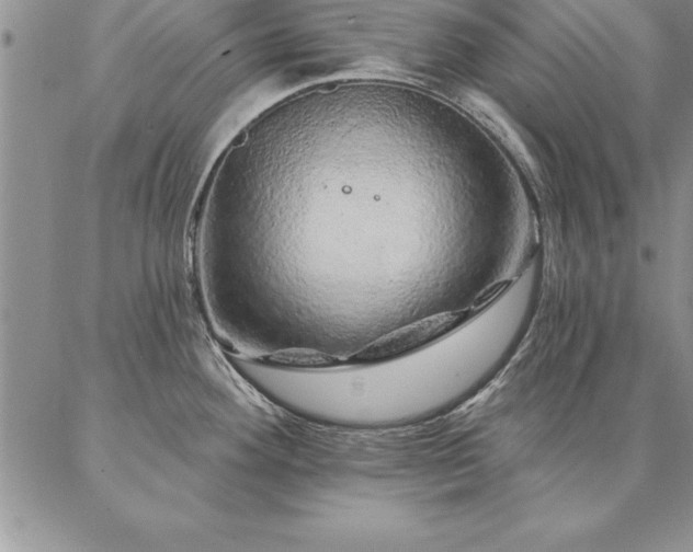 X0000087381292200704271548