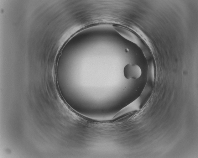 X0000087381293200704271548