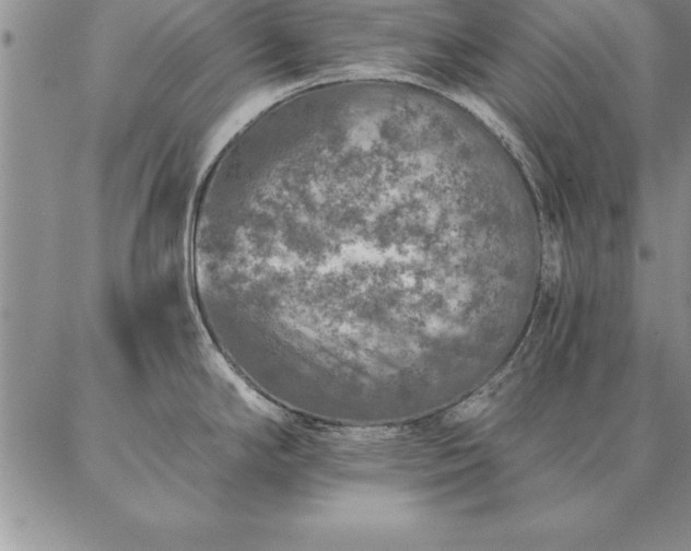 X0000087381294200704271548